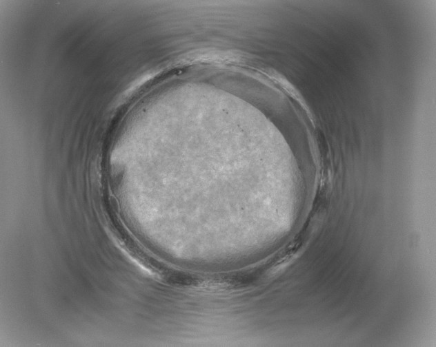 X0000078880581200612042026