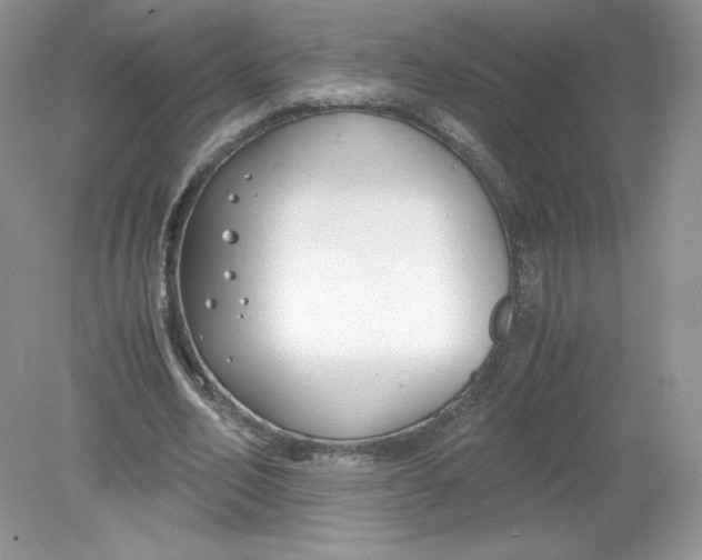 X0000078880582200612042026