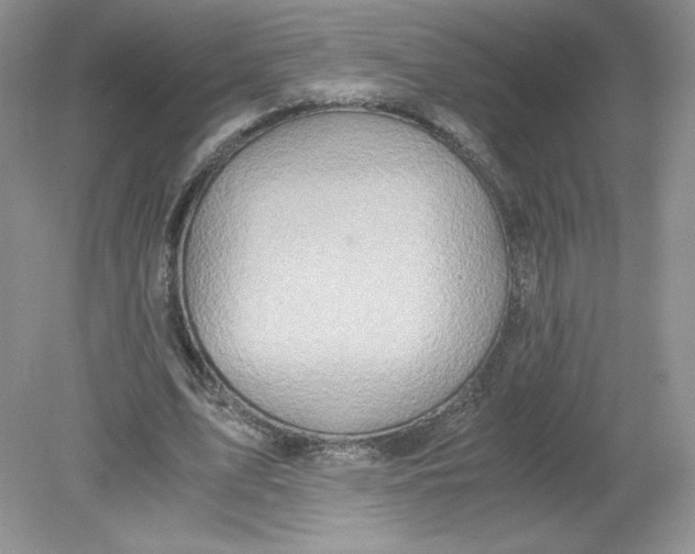 X0000078880583200612042026