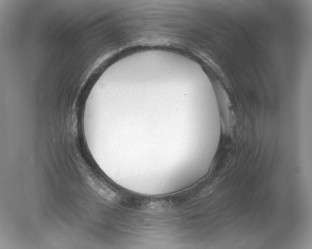 X0000078880584200612042026