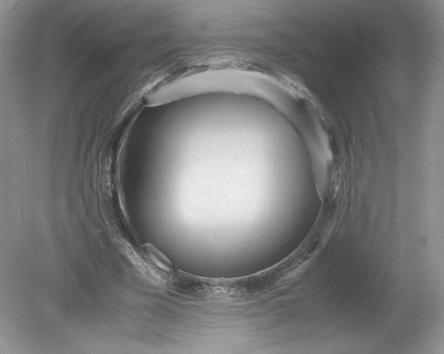 X0000078880585200612042026