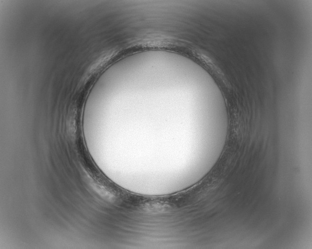 X0000078880586200612042026