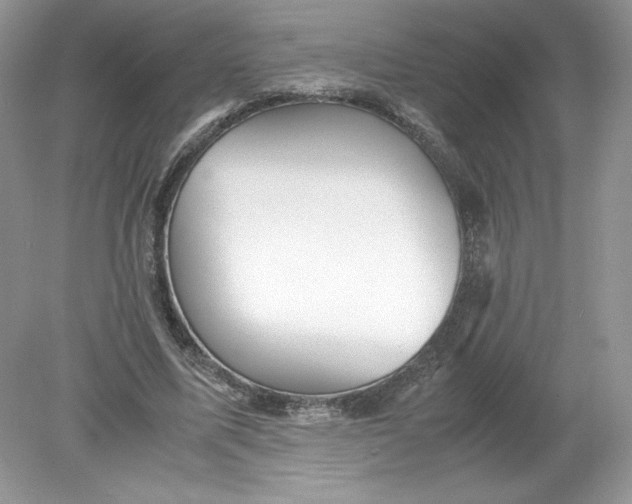 X0000078880587200612042026