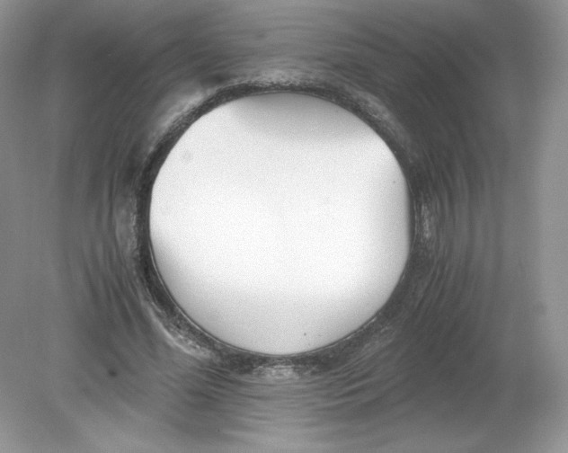 X0000078880588200612042026