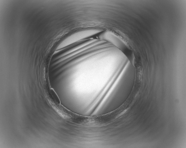 X0000078880589200612042026