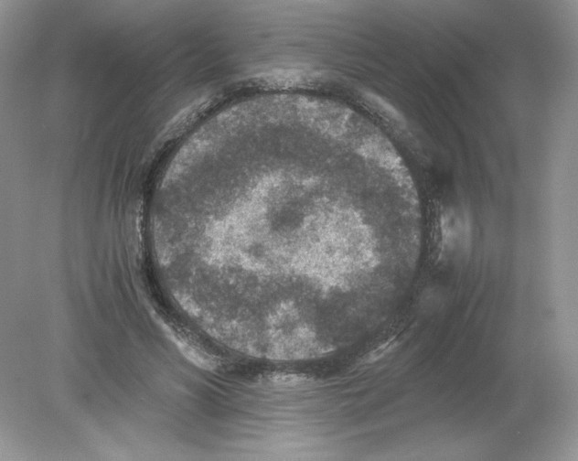 X0000078880590200612042026