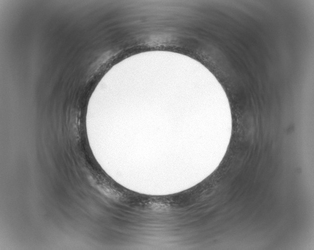 X0000078880592200612042026