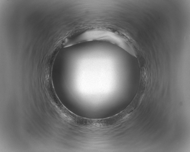 X0000078880593200612042026