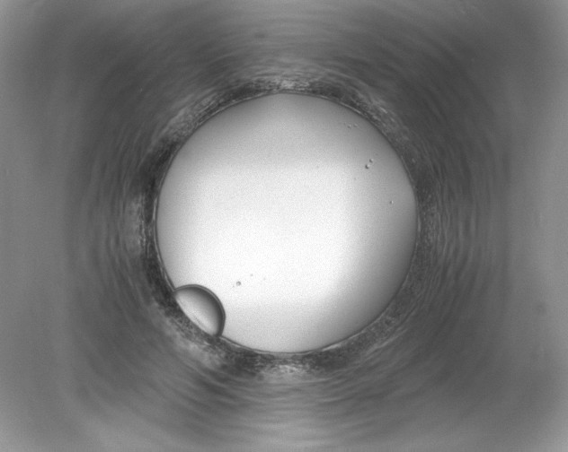 X0000078880594200612042026