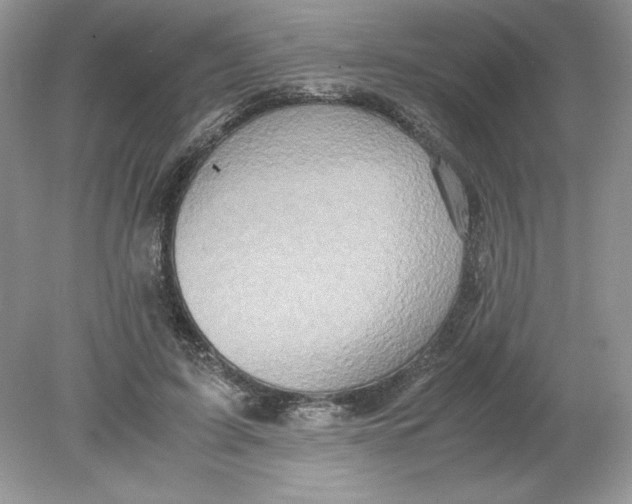 X0000078880595200612042026