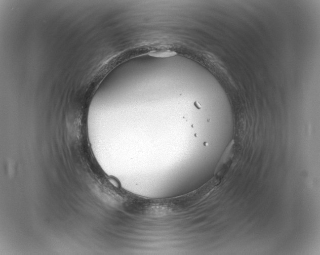 X0000078880596200612042026