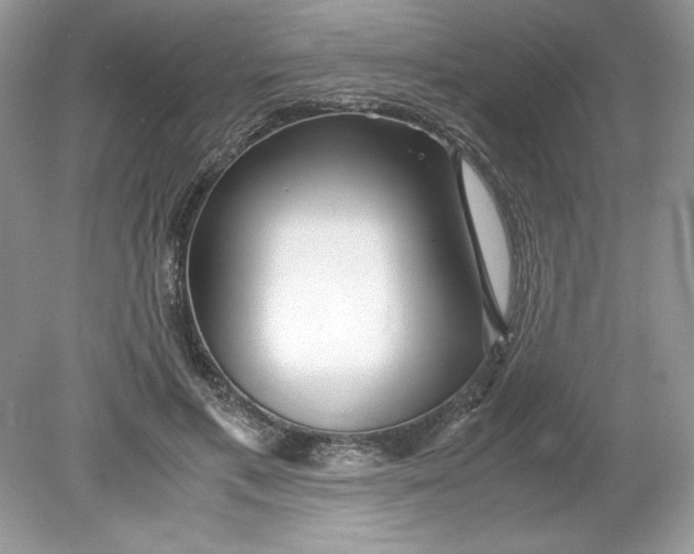 X0000078880597200612042026