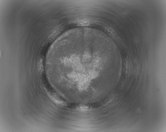 X0000078880598200612042026