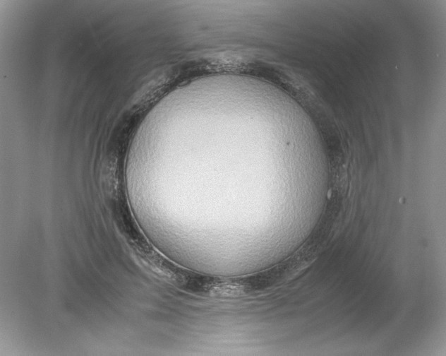 X0000078880599200612042026