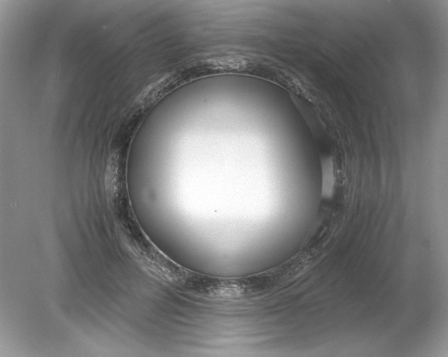 X0000078880600200612042026