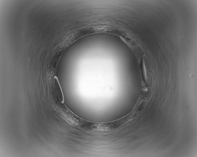 X0000078880601200612042026