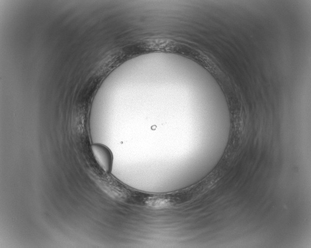 X0000078880602200612042026