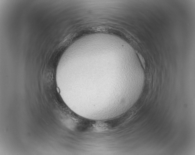 X0000078880603200612042026