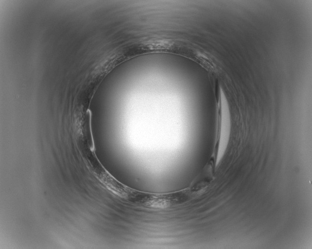 X0000078880604200612042026