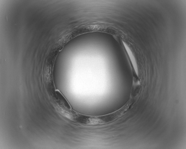 X0000078880605200612042026