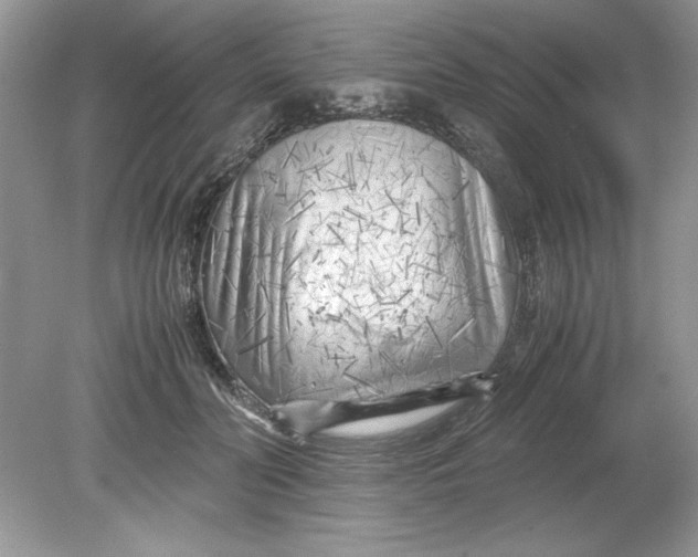 X0000078880606200612042026