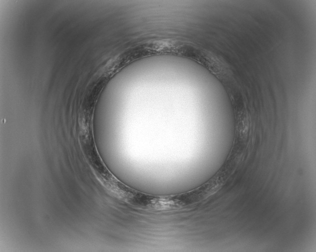 X0000078880607200612042026