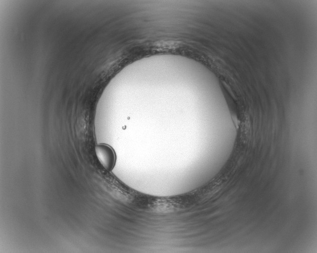 X0000078880608200612042026