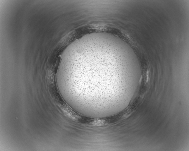 X0000078880609200612042026