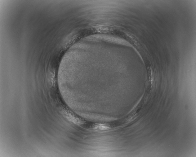 X0000078880610200612042026