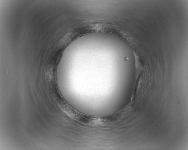 X0000078880611200612042026