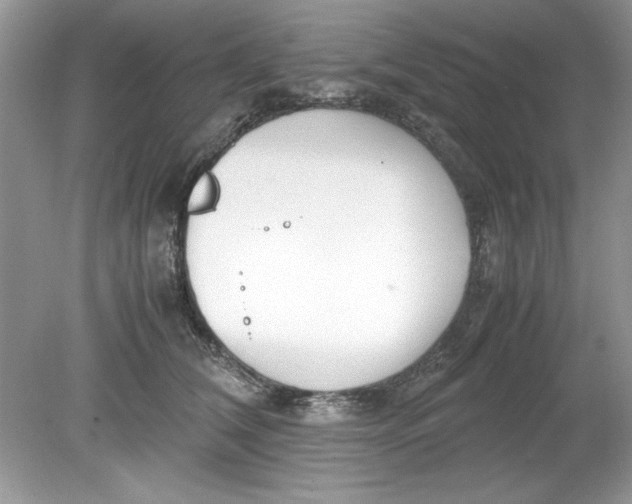 X0000078880612200612042026