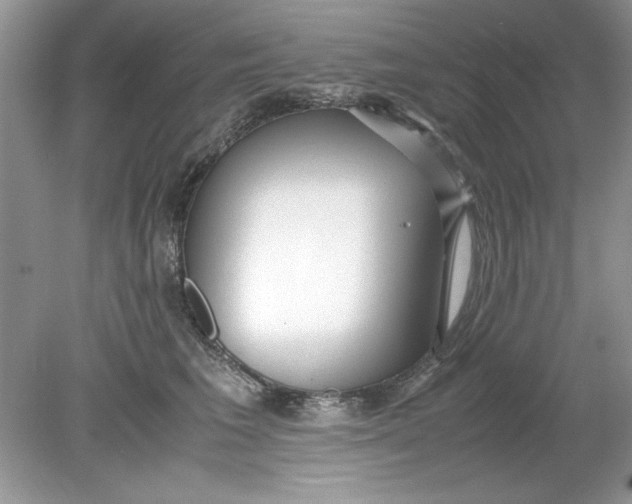 X0000078880613200612042026