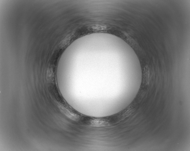 X0000078880614200612042026