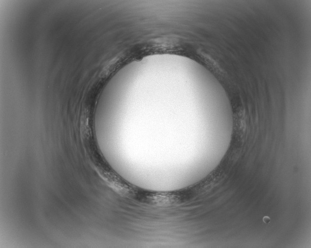 X0000078880615200612042026