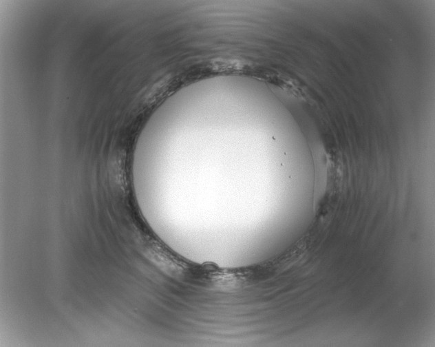 X0000078880616200612042026