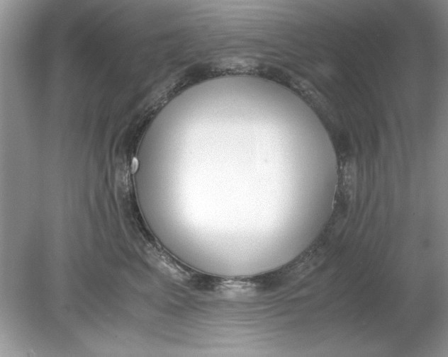 X0000078880617200612042026