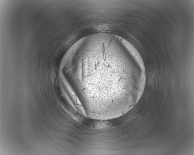 X0000078880618200612042026