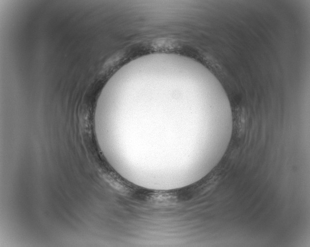 X0000078880619200612042026