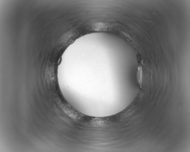 X0000078880620200612042026