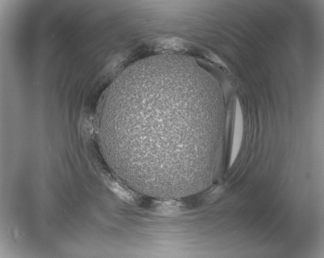 X0000078880621200612042026