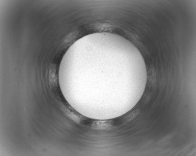 X0000078880622200612042026