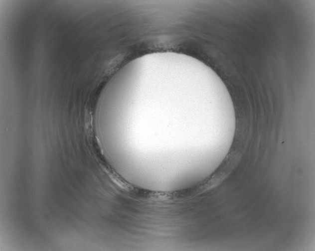 X0000078880624200612042026