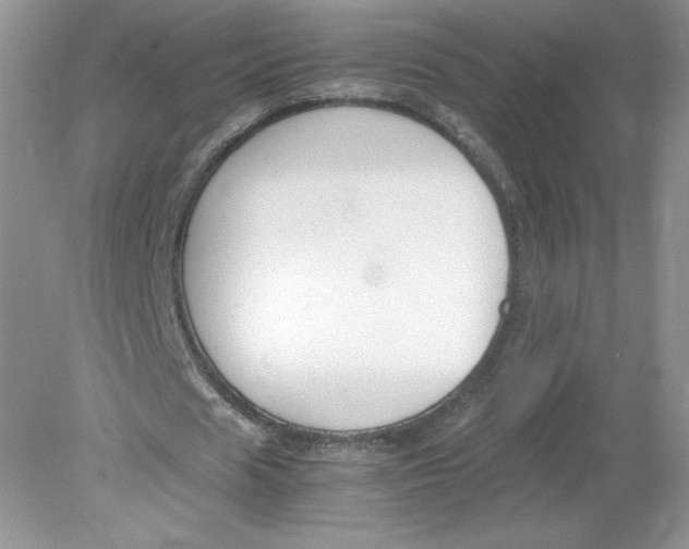 X0000078880625200612042025