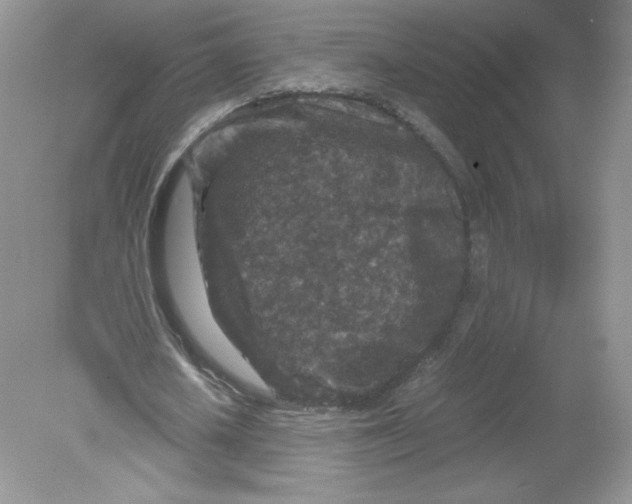 X0000078880626200612042025