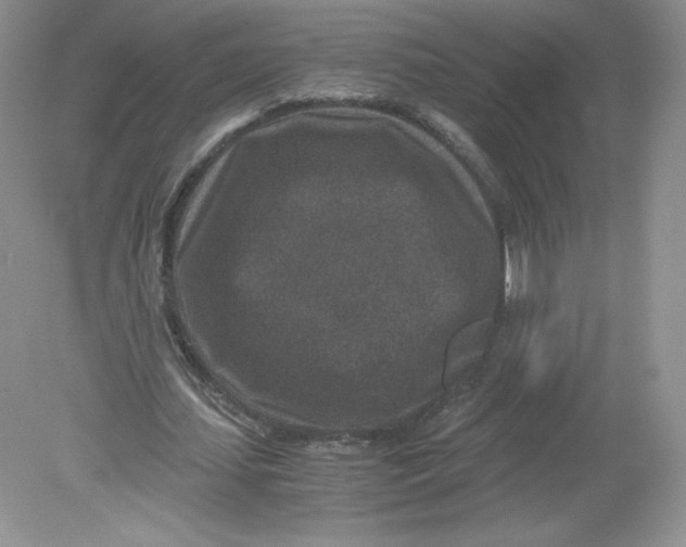 X0000078880627200612042025