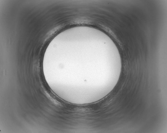 X0000078880629200612042025