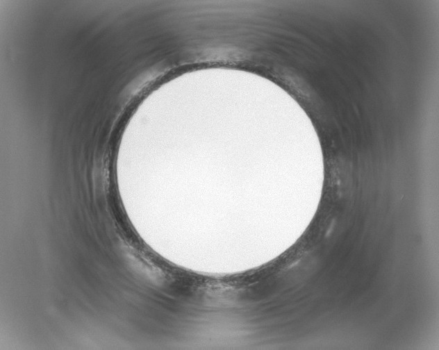 X0000078880632200612042025