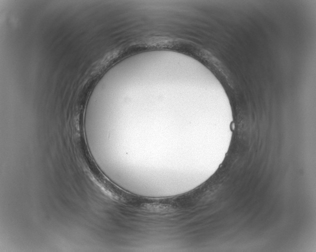 X0000078880633200612042025