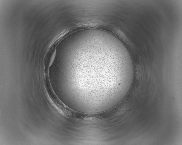 X0000078880634200612042025