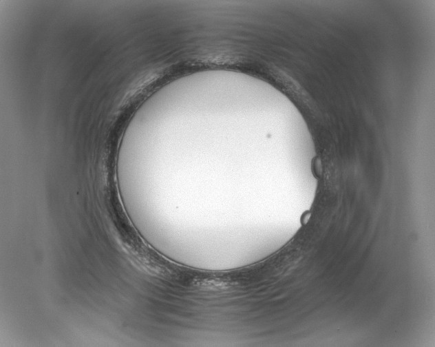 X0000078880635200612042025